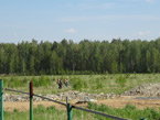 Противоклещевая обработка территории поселка, май 2015 г.