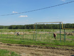 Противоклещевая обработка территории поселка, май 2015 г.
